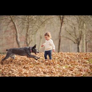 Meet your Posher, Julie